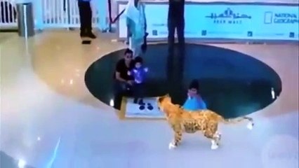 Japão faz apresentação de nova tecnologia 7D, Incrível