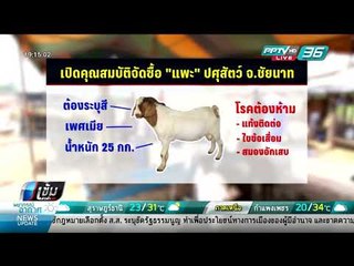 เกษตรกรร้องปศุสัตว์จ.ชัยนาท แจก "แพะ" ป่วย แพร่โรค ทำเดือดร้อน - เข้มข่าวค่ำ