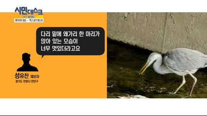 [11월 11일 시민데스크] 핫 제보영상 / YTN