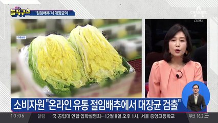 ‘절임배추의 배신’…대장균 검출