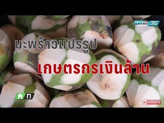 คิดได้ไง - มะพร้าวเงินล้าน (3/3) - ลูกละ 200 บาท!!