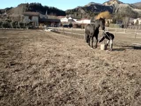 Jambette , salut lola