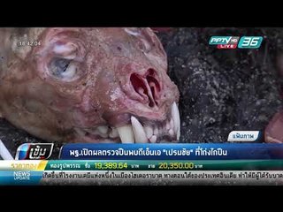 พฐ.เปิดผลตรวจปืนพบดีเอ็นเอ "เปรมชัย" ที่โก่งไกปืน - เข้มข่าวค่ำ