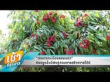 เช้าปลุกข่าว | Talk of the town | 10 เม.ย. 61 (1/3)