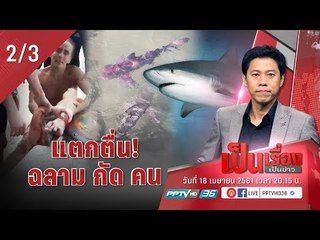 แตกตื่น! ฉลาม กัด คนที่ หัวหิน - เป็นเรื่อง เป็นข่าว (2/3)