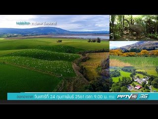 Bird's Eye View - Hobbiton in New Zealand (2/3)