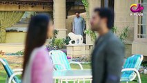 Ghamand - Episode 19 - Aplus Dramas - Noman Ijaz, Sunita Marshall, Minal Khan - Pakistani Drama