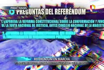 Referéndum en marcha: las cuatro reformas constitucionales propuestas por el Ejecutivo