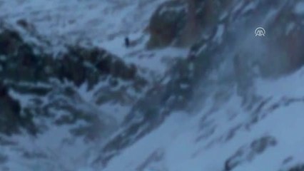 Demirkazık'ta Dağcılardan Biri Kurtarıldı