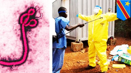 Congo sees second deadliest Ebola outbreak in history