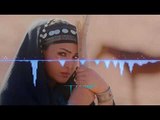 موالات عراقية الفنان محمود الهلالي والعازف عباس سيمو 2018