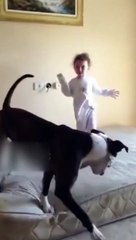 Детям на радость