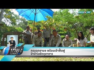 กรมอุทยานฯ พร้อมเข้าฟื้นฟูป่าบ้านพักตุลาการ - เที่ยงทันข่าว