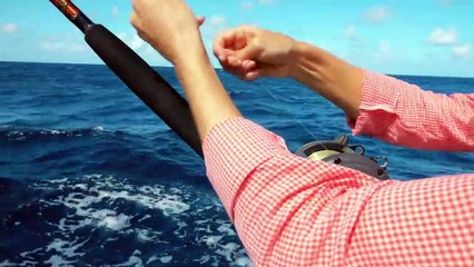 Wood splitter reviews 2018 from James Underwood, Rockville, TN | Time to own your Powersplit