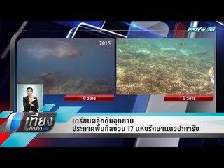 เตรียมผลักดันอุทยานประกาศพื้นที่สงวน 17 แห่ง รักษาแนวปะการัง - เที่ยงทันข่าว