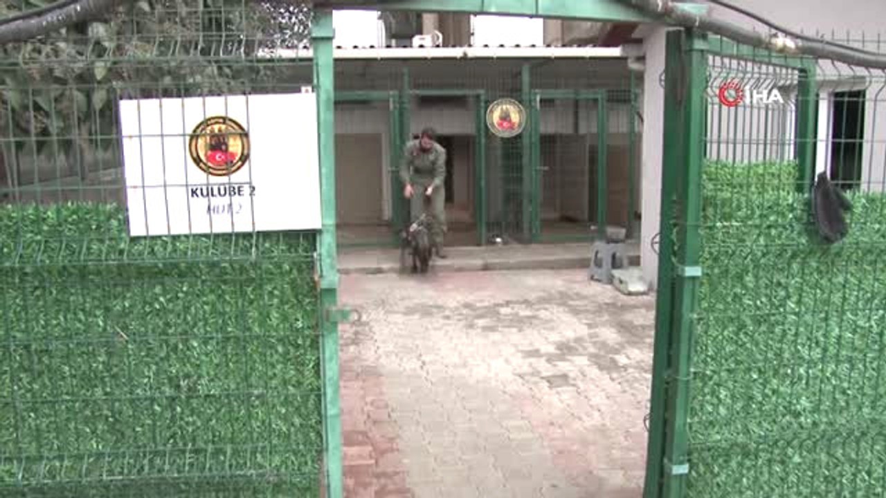 İstanbul-Özel)kaşıkçı Bu Köpekle Arandı