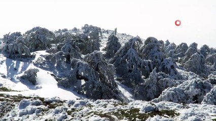 Alaska değil, Kazdağları... Kazdağlarının bulutlar üzerindeki karla kaplı zirveleri böyle görüntülendi