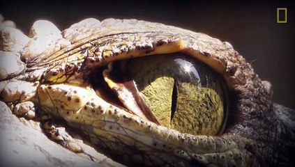 Mysteries of the planet Earth