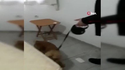 Narkotik Köpeği Eko Bingo Yaptı