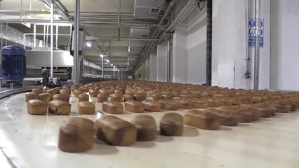 Babasının Tavsiyesine Uydu, Bin 300 Kişiye İş Veriyor