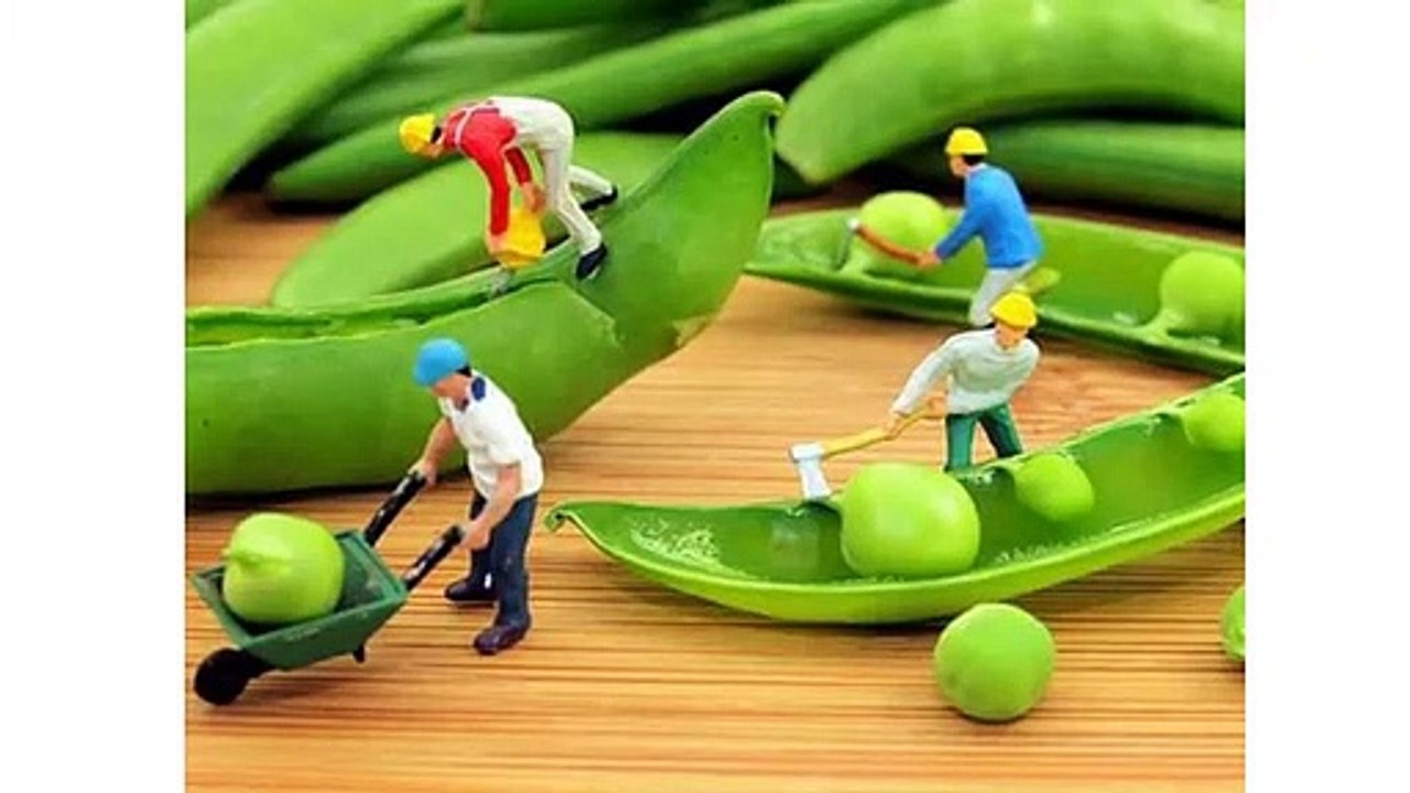 Amazing creativity ideas