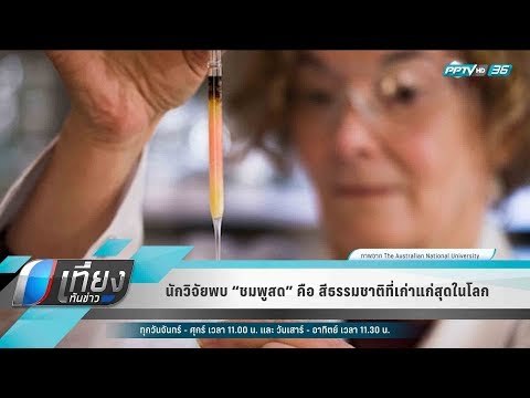 นักวิจัยพบ “ชมพูสด” คือ สีธรรมชาติที่เก่าแก่สุดในโลก - เที่ยงทันข่าว
