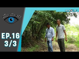 เห็นกับตา - คนปลูกป่า (3/3)