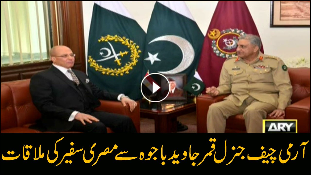 Army Chief General Qamar Javed Bajwa meets Egyptian ambassador in GHQ