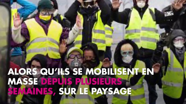 Brigitte Bardot soutien des gilets jaunes : elle flingue Emmanuel Macron