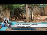 อำลา 80 ปี สวนสัตว์ดุสิต จากพระนคร สู่ทุ่งคลองหลวง ปทุมธานี - เที่ยงทันข่าว