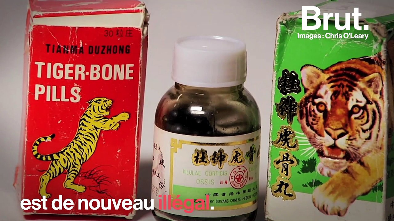 5 bonnes nouvelles pour la planète