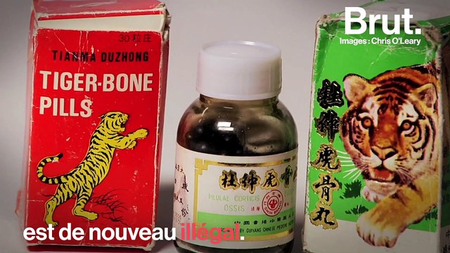 5 bonnes nouvelles pour la planète