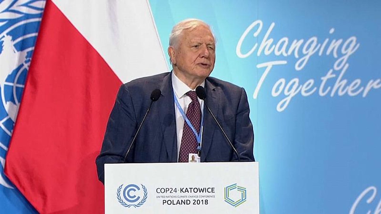 Weltklimakonferenz: Naturforscher Sir David Attenborough findet deutliche Worte