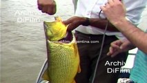 Fishing of Dorado in Paso de los Libres - Corrientes 1992