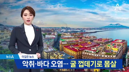 [더깊은뉴스]악취·바다 오염…통영, 굴 껍데기로 몸살