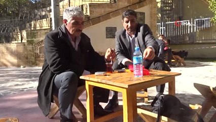 Kış Güneşi Sıcak Yüzünü Gösterdi