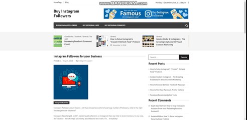 Instagram Followers for your Business