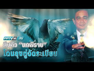 ลุงตู่สั่งปราบ “นกพิราบ” ทั่วกรุงเทพฯ พบใครให้อาหารปรับ 2,000 บาท คุก 3 เดือน