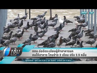 กทม.จ่อจัดระเบียบผู้ค้าอาหารนก คนให้อาหาร โทษจำฯ 3 เดือน ปรับ 2.5 หมื่น - เข้มข่าวค่ำ