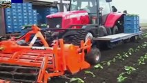 Best of Agriculture Huge Machines and Heavy Agriculture Equipment(1)