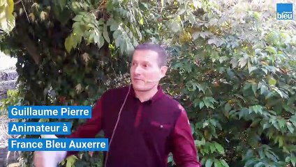 La Maison Bleu : Les grands principes pour aménager son intérieur