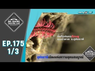 McDang's Travelogue - อุทัยธานีเมืองแห่งความอุดมสมบูรณ์ (1/3)