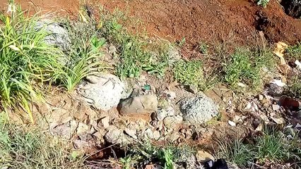 Morador reclama de via de São João do Oeste