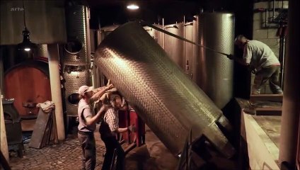 Jean-Luc Nachbauer 3 : biodynamie chez les Klur