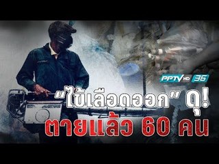 ไข้เลือดออก ตายแล้ว 60 คน !!