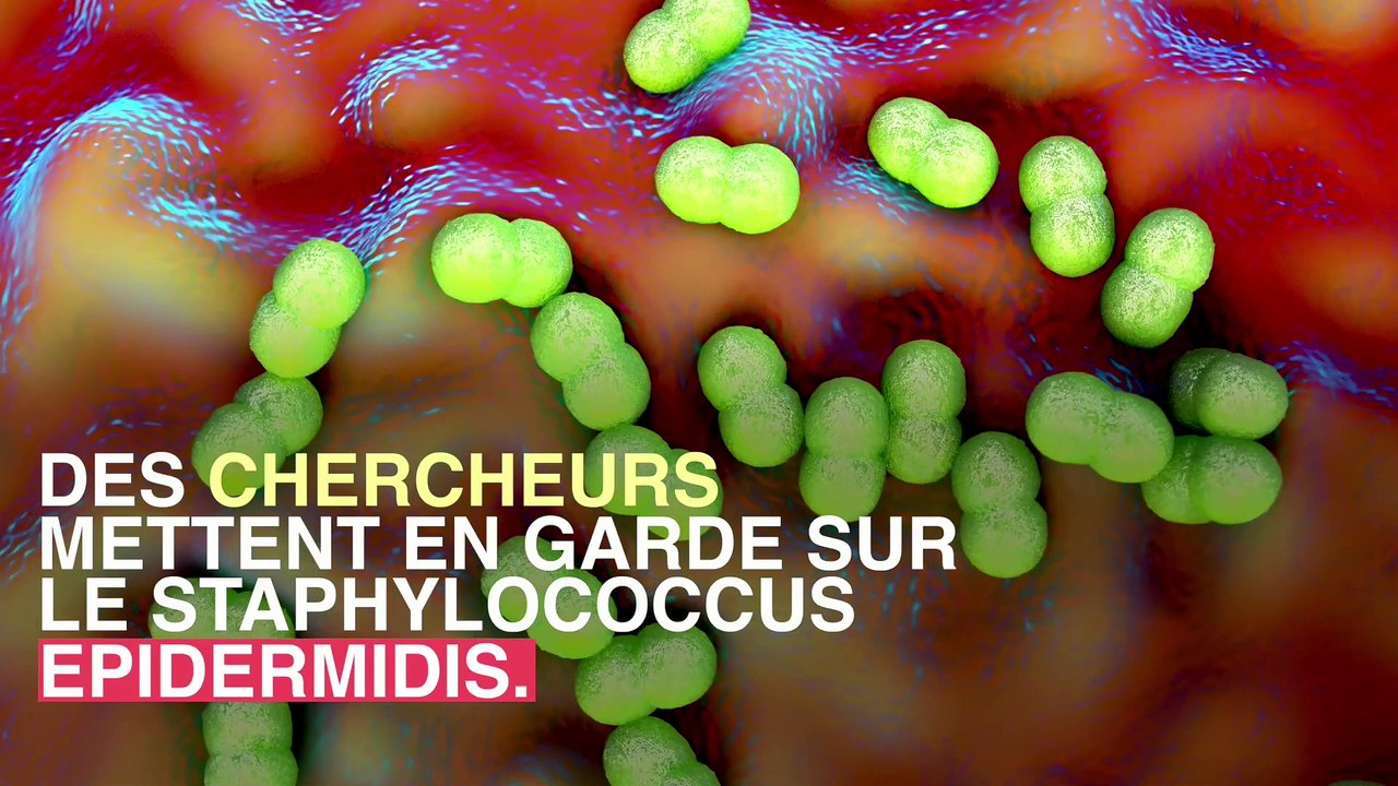 Staphylococcus epidermis : une bactérie de la peau responsable d'infections post-opératoires