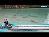 พบฝูงฉลามหูดำริมหาดอ่าวมาหยา หลังปิดอ่าวนานกว่า 4 เดือน - เที่ยงทันข่าว