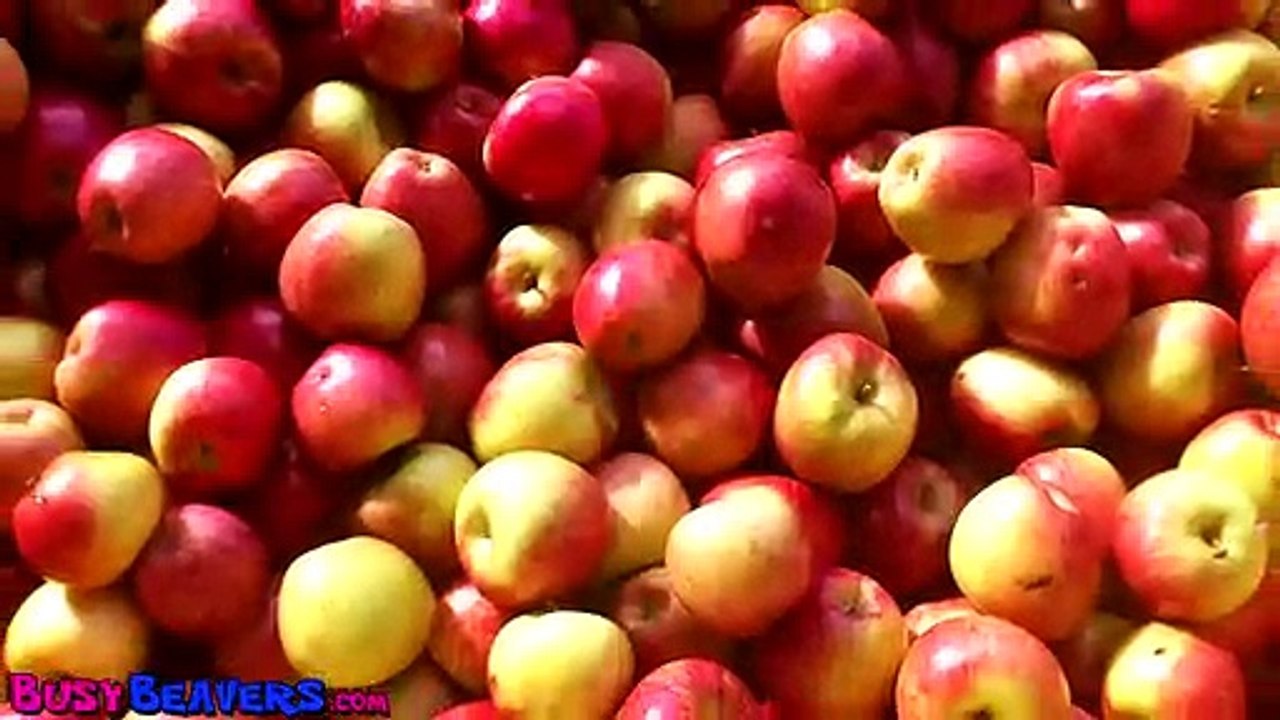 VIDEO 02-incluir junto a pples-Pàgina 11-revista 02-'Apples Are Yummy' - Learn Fruits & Vegetables, Kids Song for Babies & Toddlers