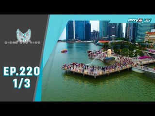 Bird's Eye View - Must see in Singapore (1/3)