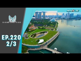 Bird's Eye View - Must see in Singapore (2/3)